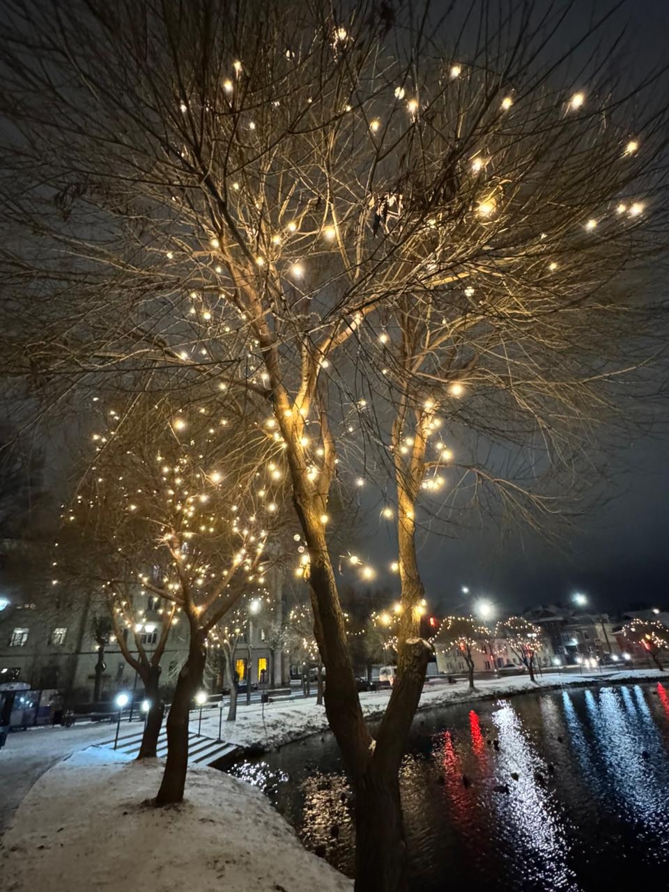 Кострома засияла новогодними огнями