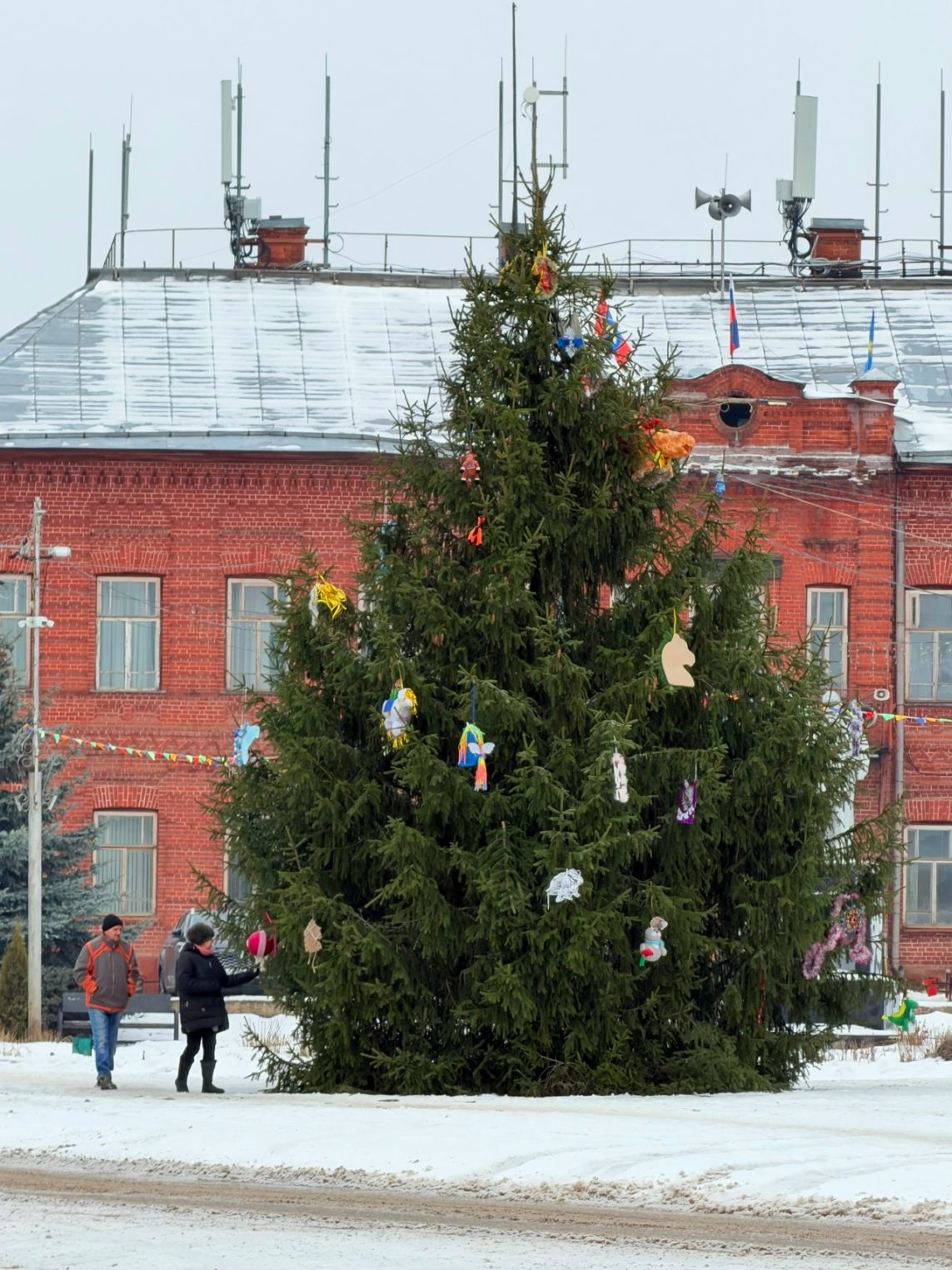 "Солигалич, ты что творишь!" Горожане критикуют слишком натуральную елку