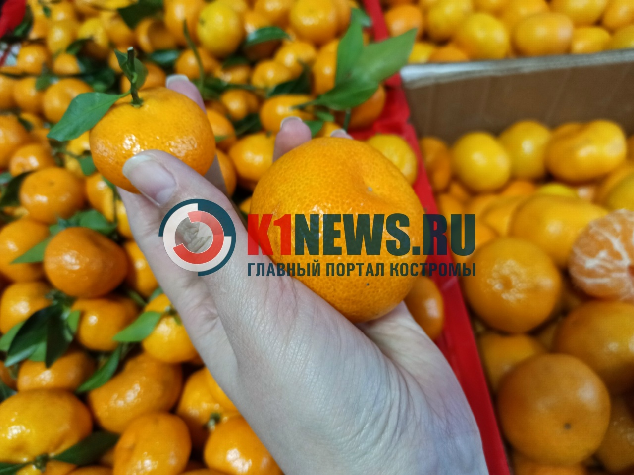 Мандариновые младенцы продаются по цене крыла от самолета в Костроме