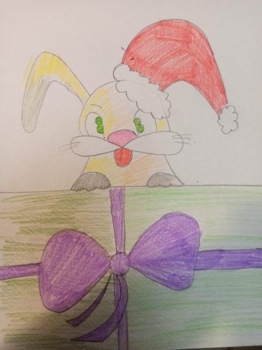 Удиви Деда Мороза