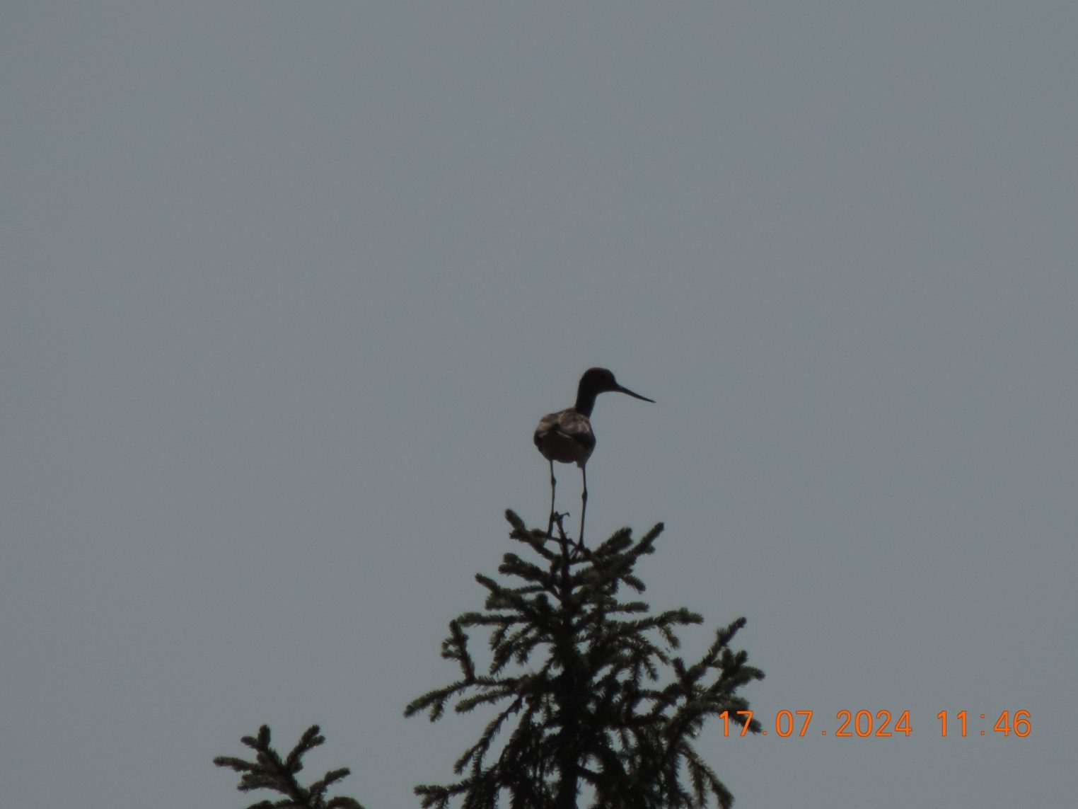 Три новых природных заповедника появились в Костромской области