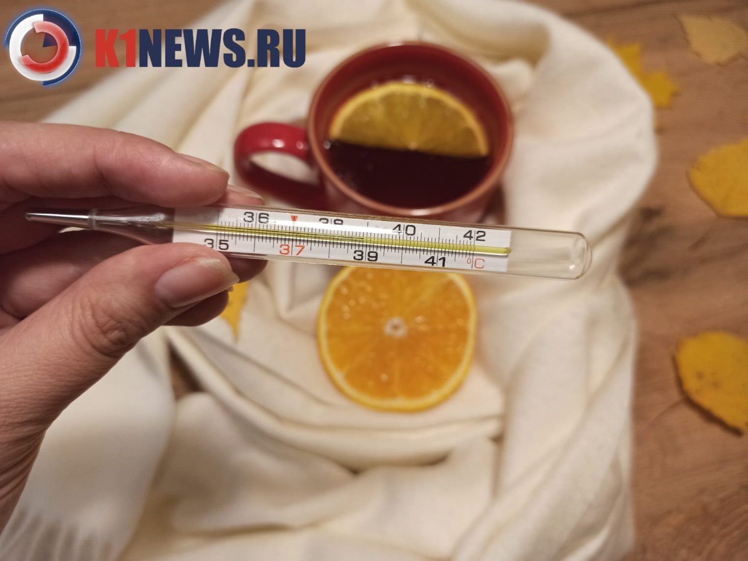 Надоедливые вирусы отправили 6,5 тысячи костромичей на больничный