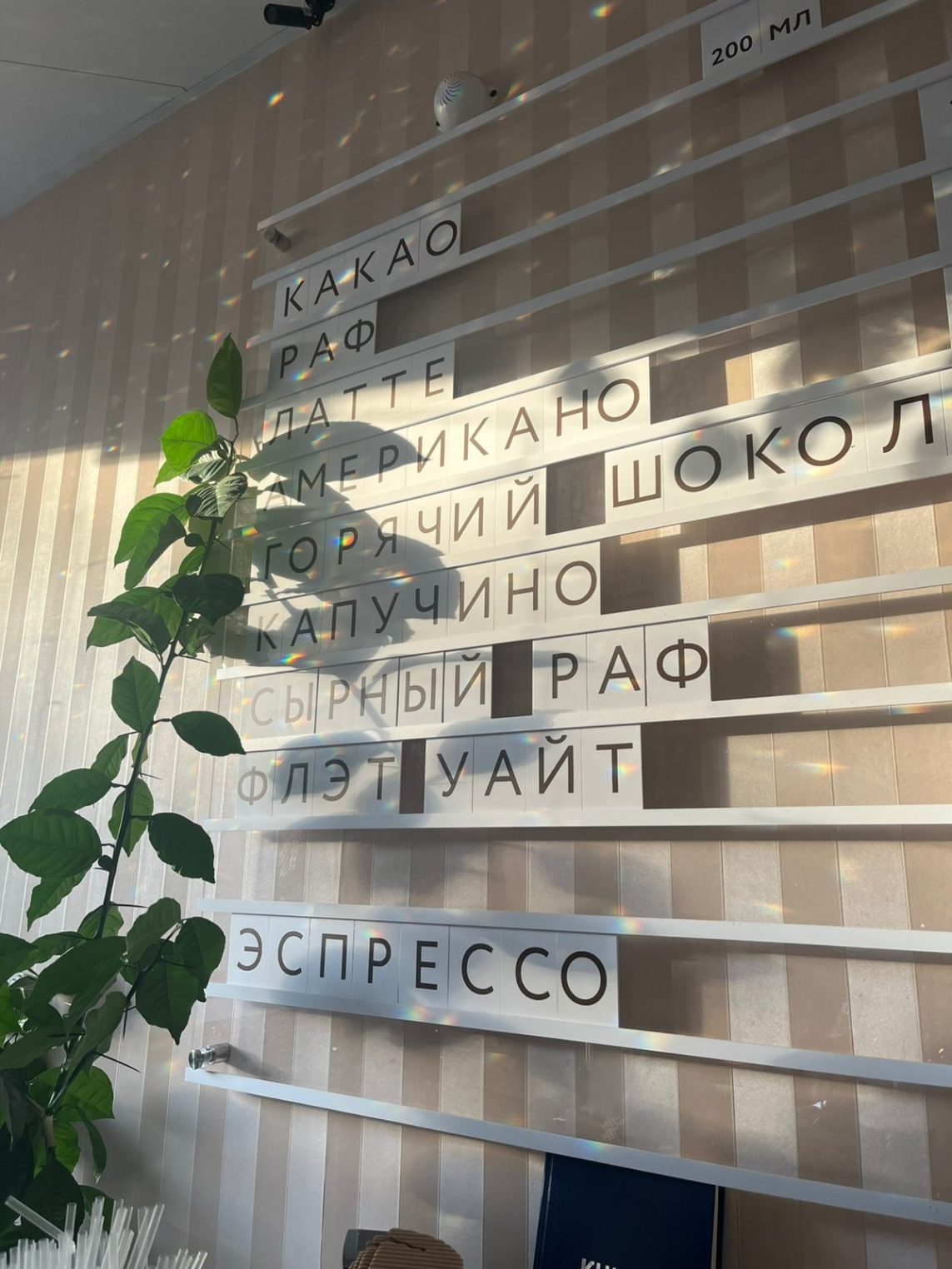 «Бисквит» - сладкая жемчужина на карте Костромы!