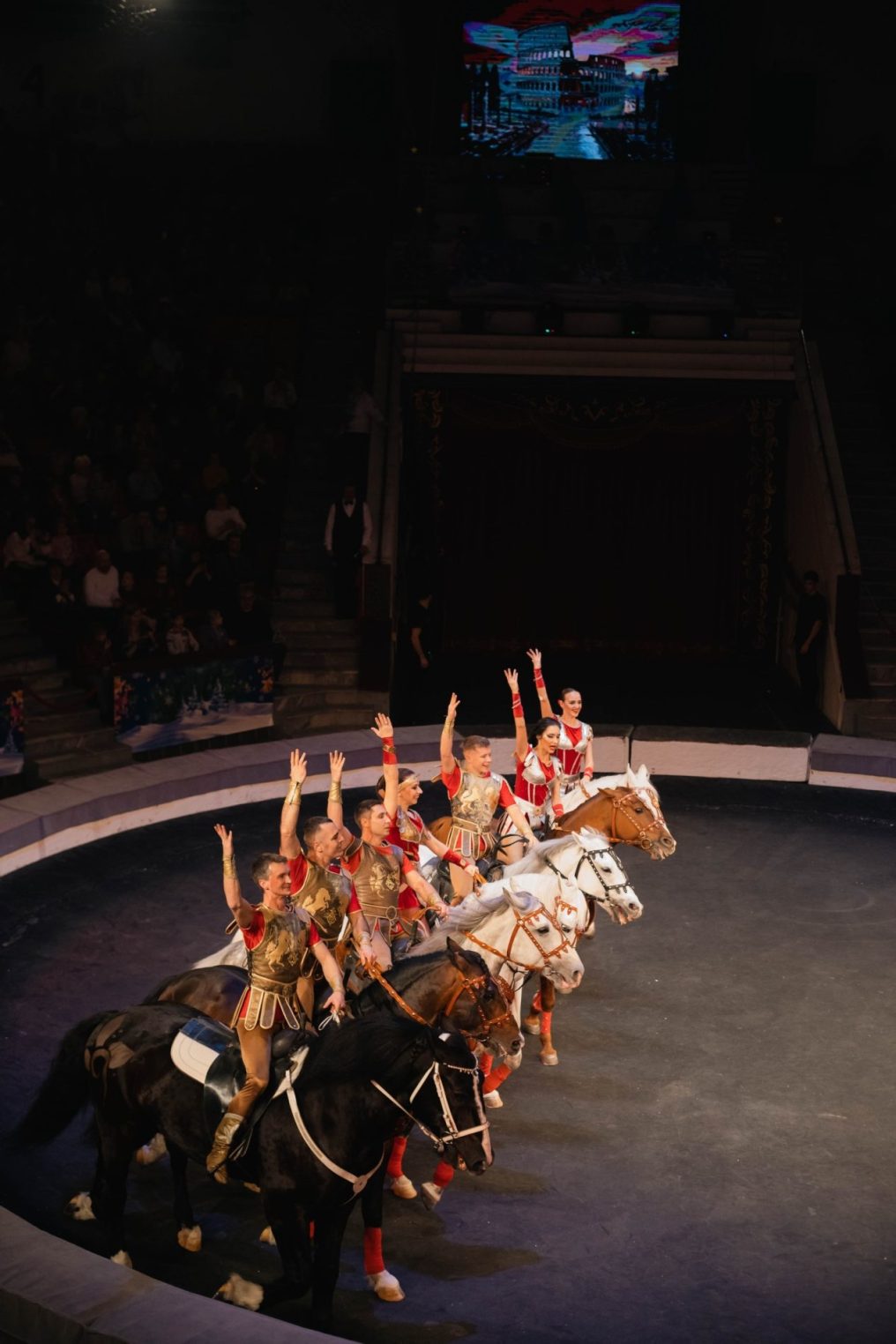 Жираф Багир расцеловал костромичек и станцевал вальс