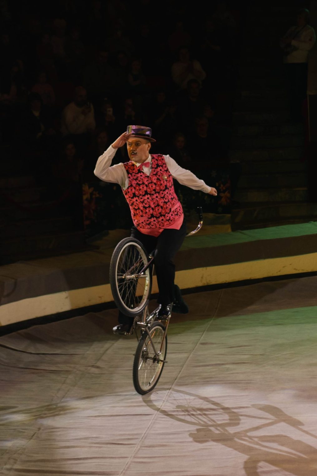 Жираф Багир расцеловал костромичек и станцевал вальс