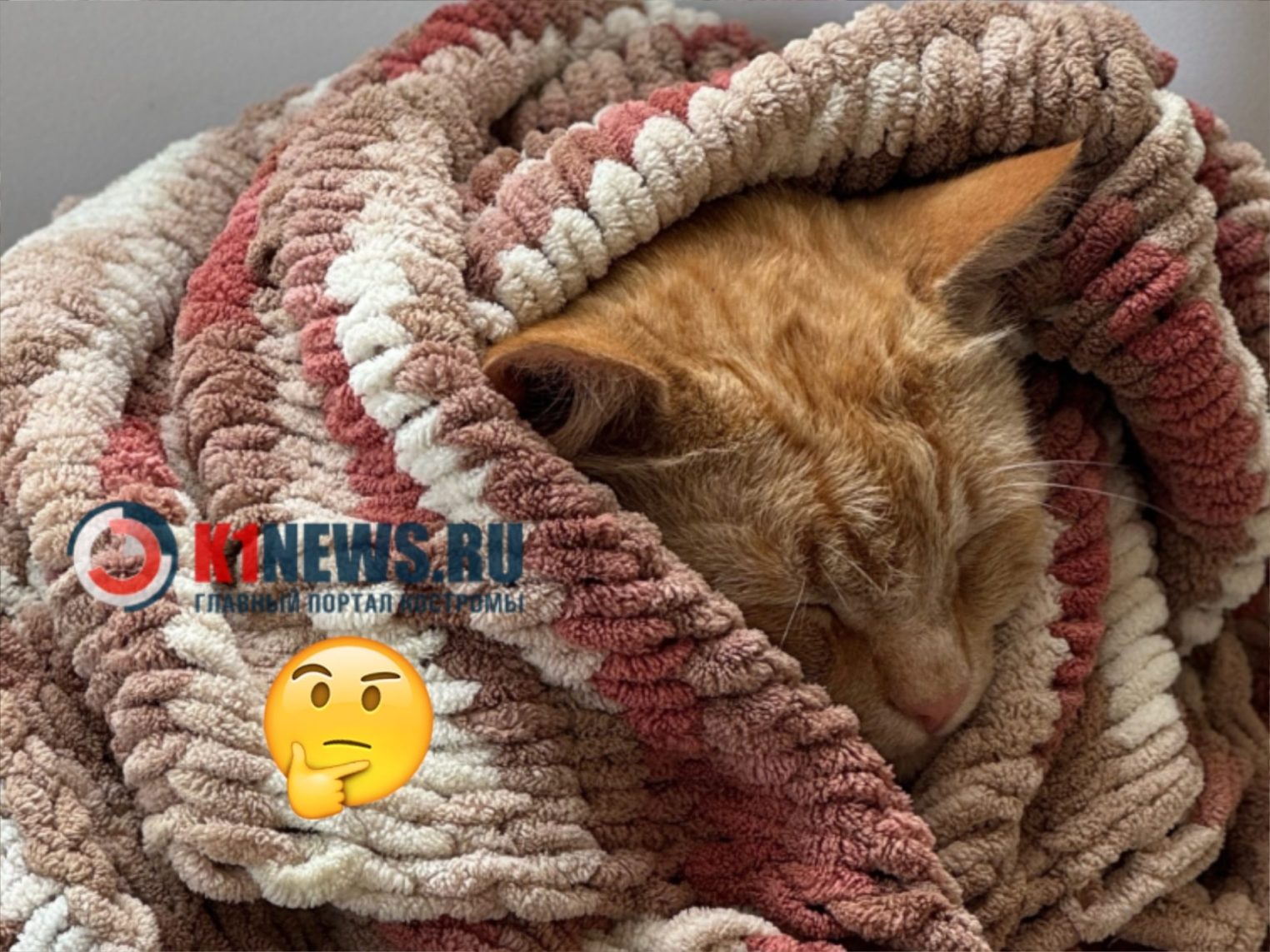 Костромичи назвали желанными новогодние подарки из списка самых неудачных