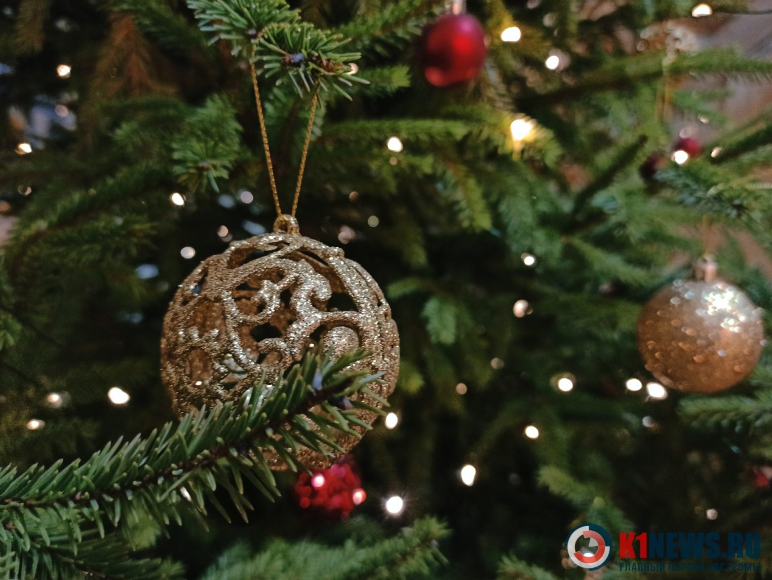 Как сохранить елку до конца каникул. Или до майских праздников