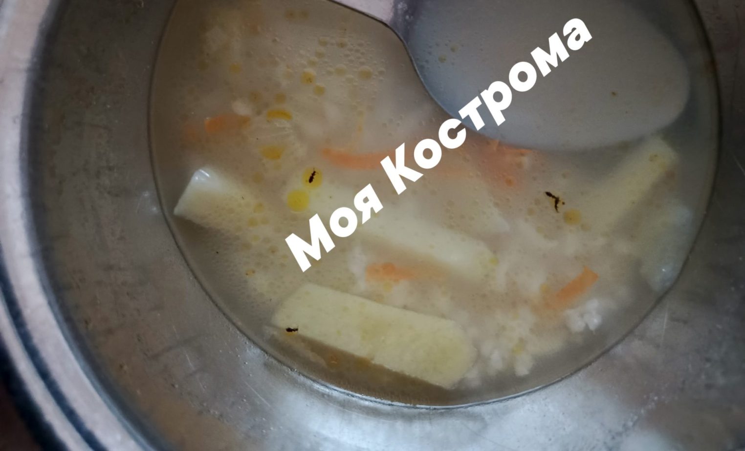 Суп с живой добавкой предложили детям в костромской больнице