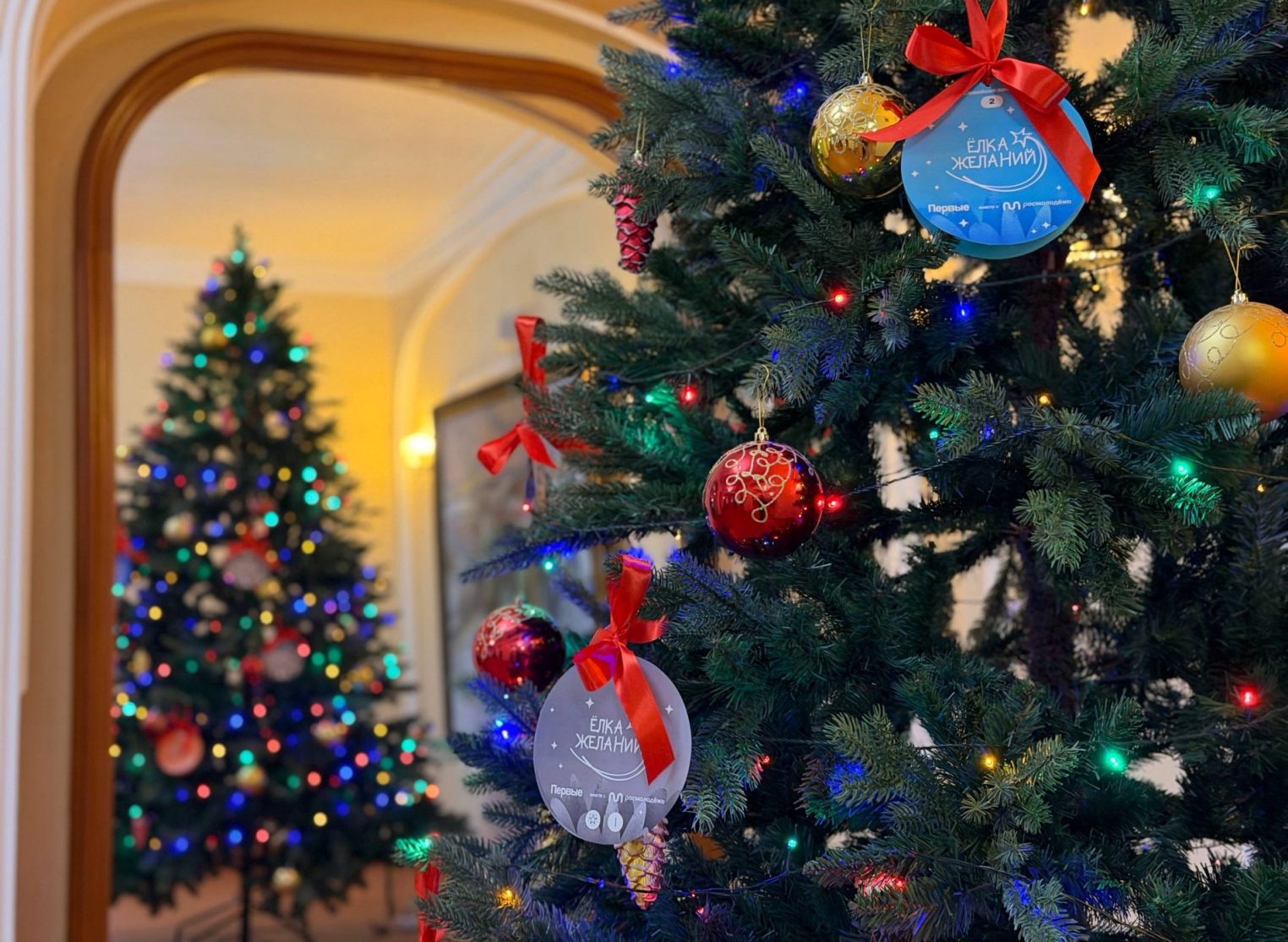 Елка желаний снова исполнит мечты костромских ребят