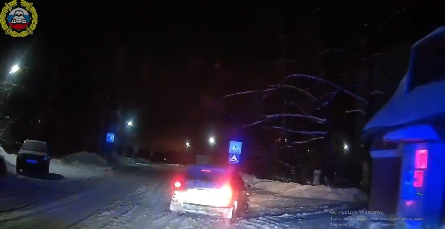Чат-бот ГИБДД помог поймать пьяного водителя в Костроме