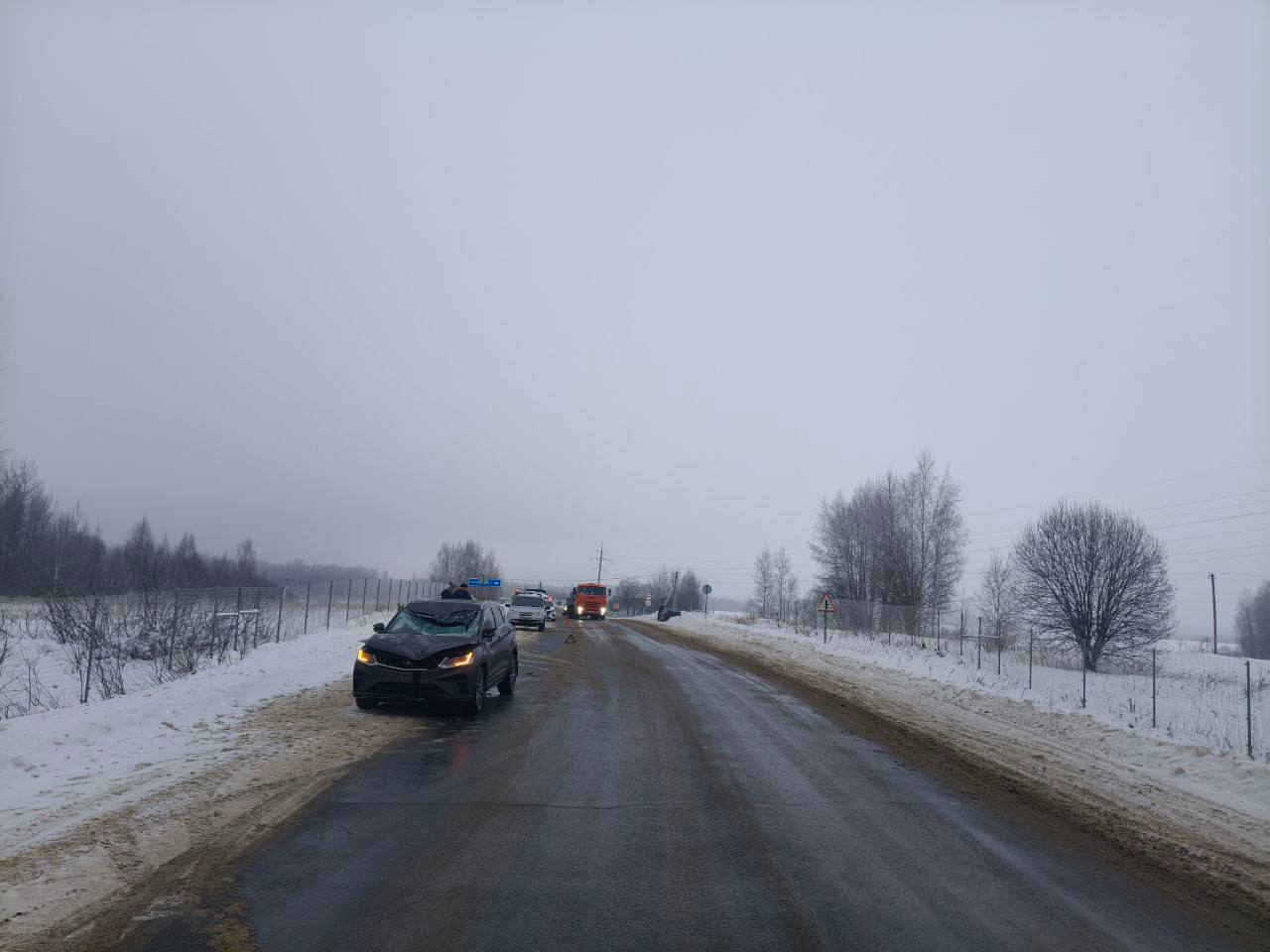 Сохатый одним ударом отправил костромского водителя в больницу