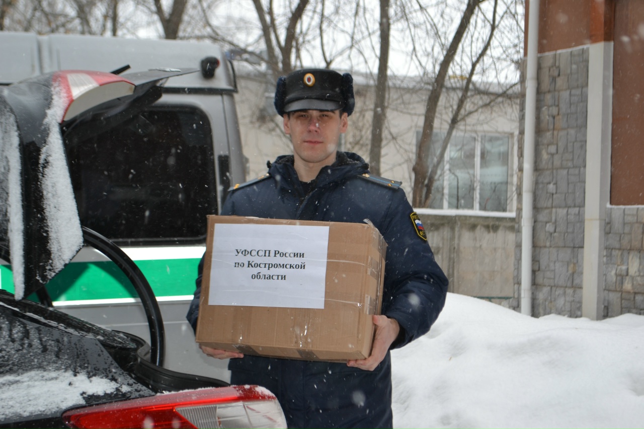 Костромские приставы наведались в приют для животных