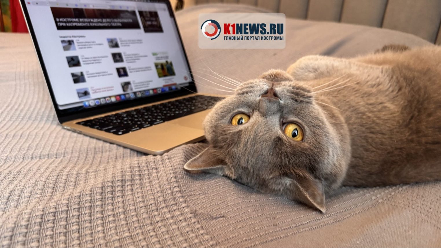 Некоторые костромичи лучше уволятся, чем вернутся в офис с удаленки
