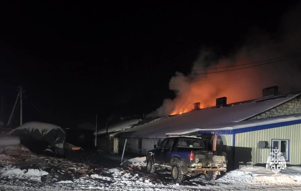 Костромские пожарные вывели с горящей фермы 120 коров