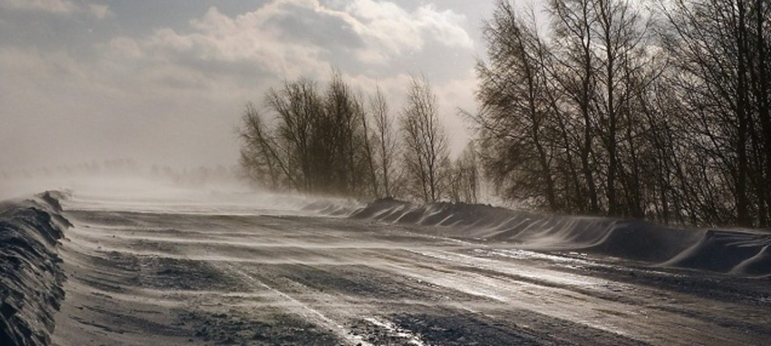 Зимний ураган заставит костромичей сидеть дома