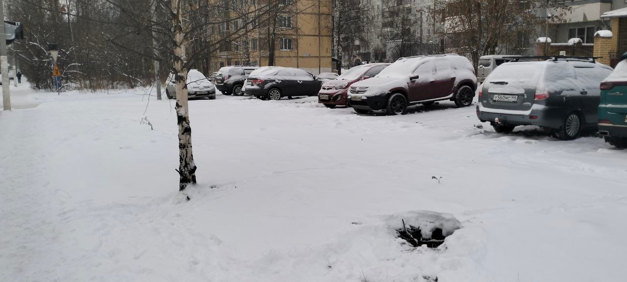 Подземная ловушка ждала костромичку возле ресторана