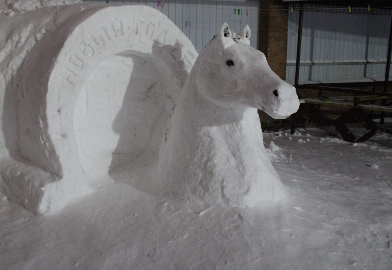 В костромских колониях обосновались лошади и единороги