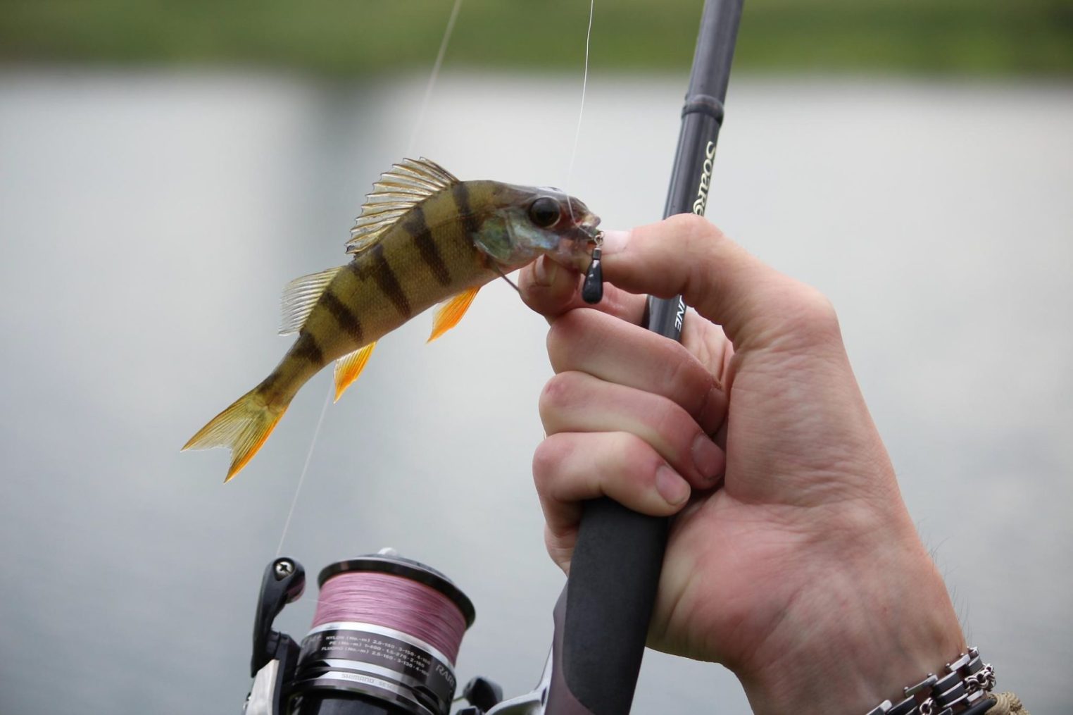 Лучших рыболовов выберут на соревнованиях под Костромой