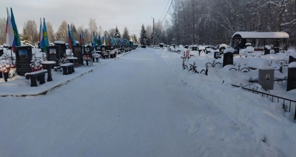 Костромичи неожиданно похвалили руководство кладбища