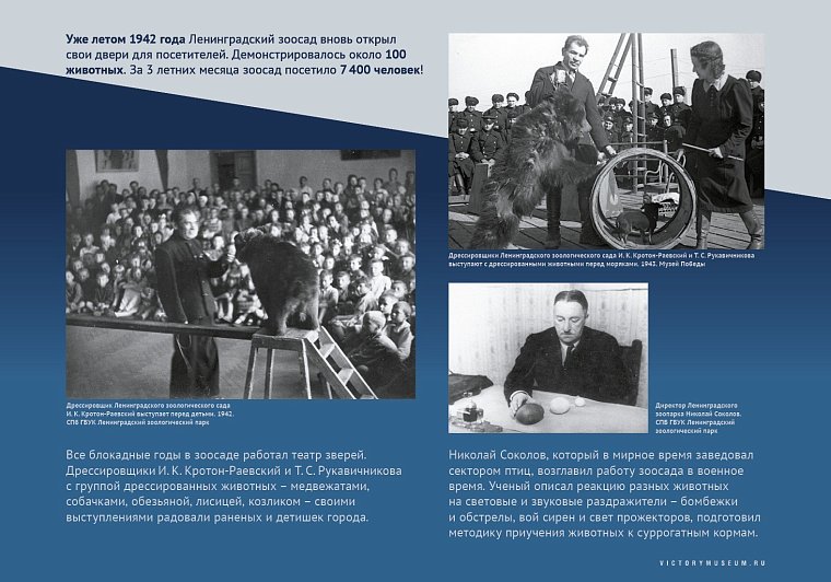 Выставка "Салют над Невой" расскажет костромичам о подвиге блокадного Ленинграда