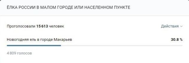 Елка из Костромской области победила во всероссийском конкурсе