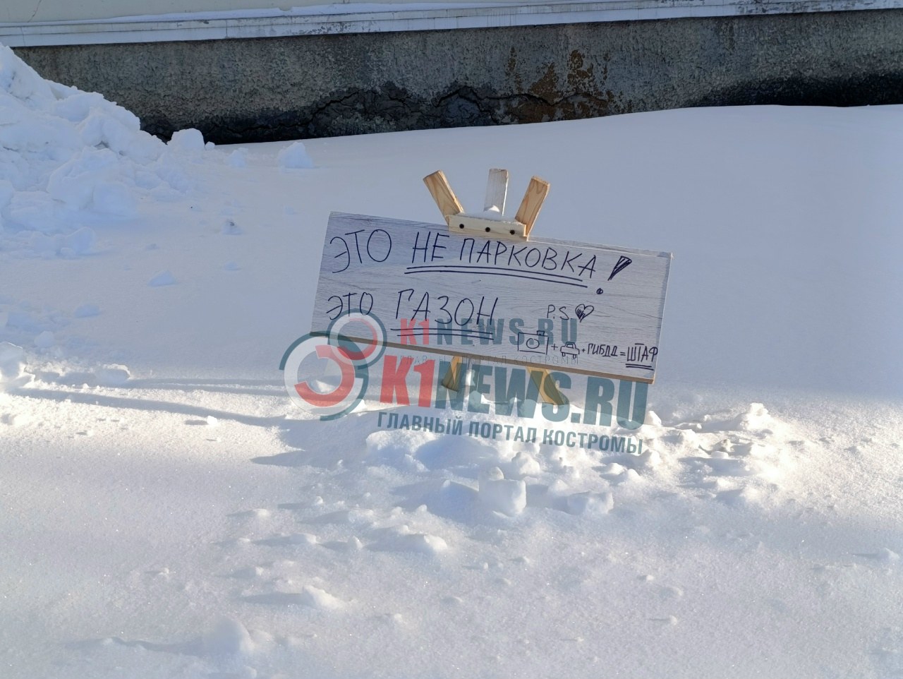 Невидимую зелень спасают от костромских водителей