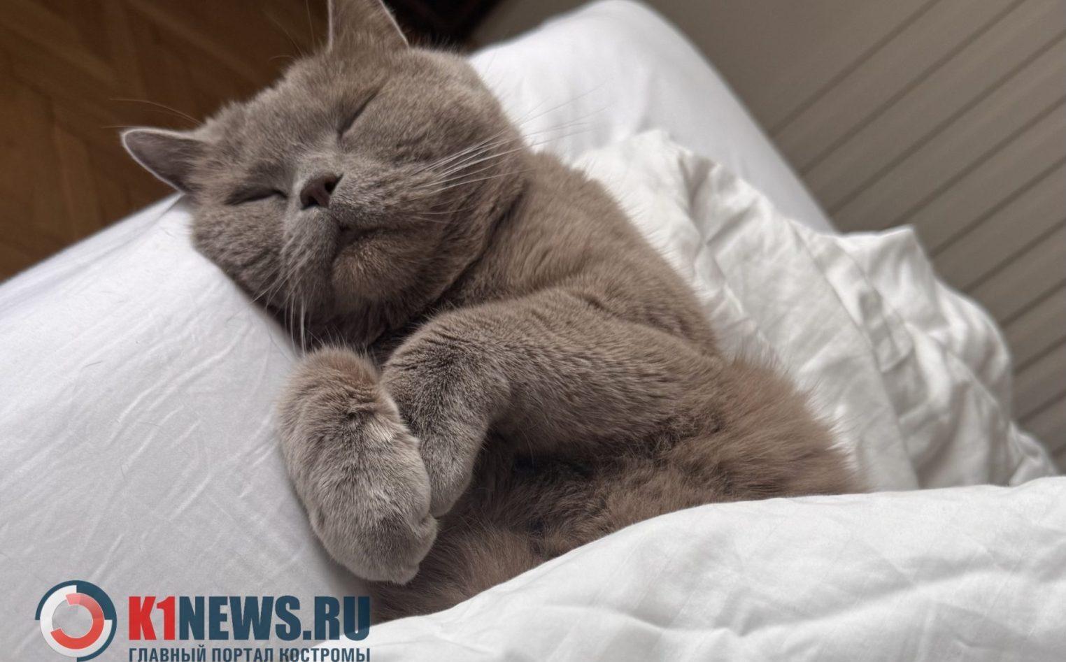 Февраль порадует россиян длинными выходными