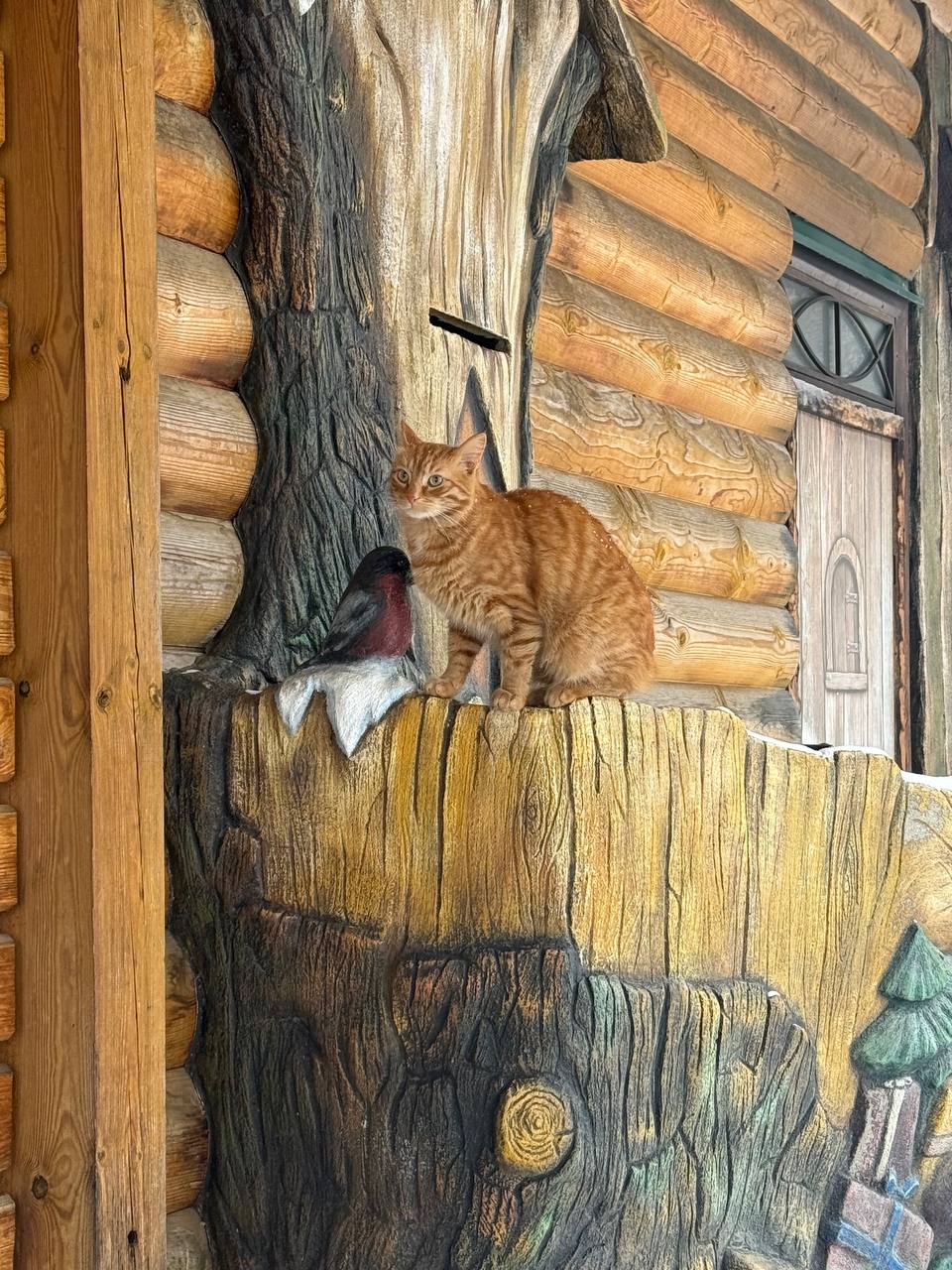 Рыжие — к счастью. История двух костромских котов