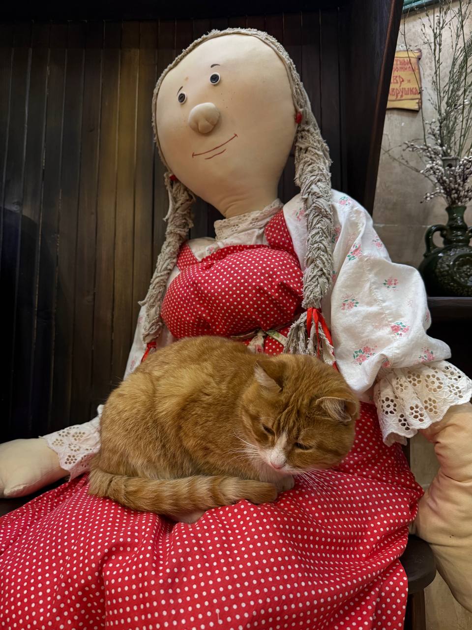 Рыжие — к счастью. История двух костромских котов