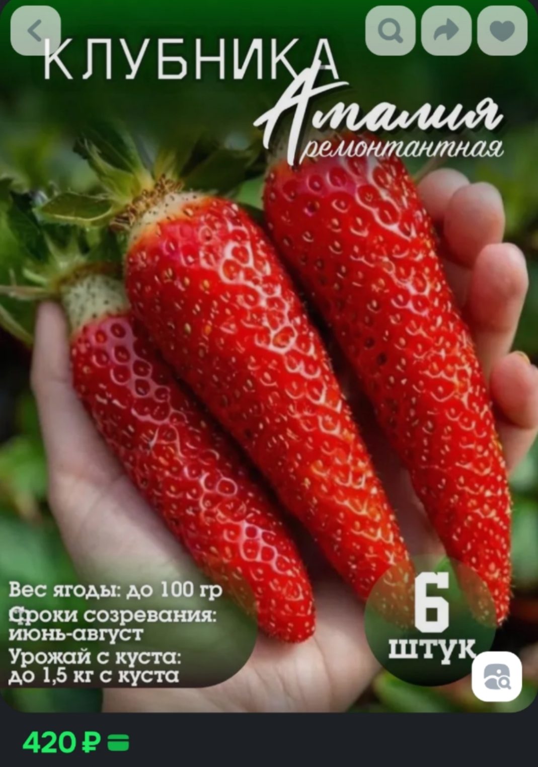 Чудовищное НЕЧТО вырастет в огородах костромских пенсионеров этим летом