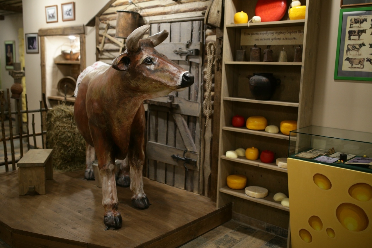 «Музей сыра» - вкусное место на карте Костромы