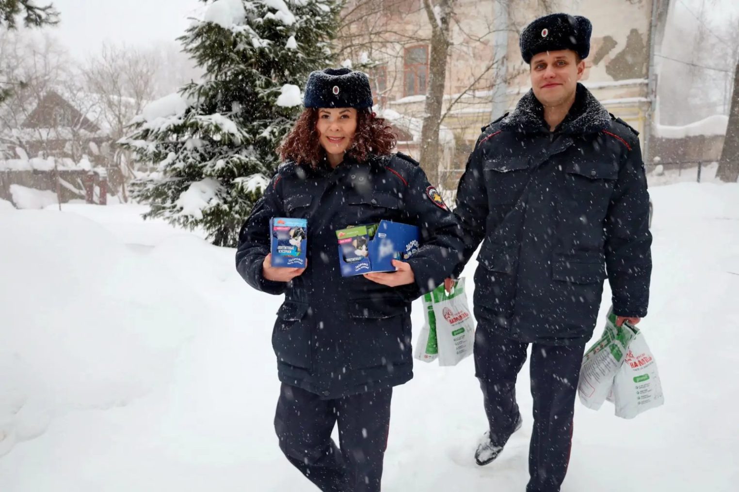 С днем кошек бездомных пушистиков поздравили костромские полицейские