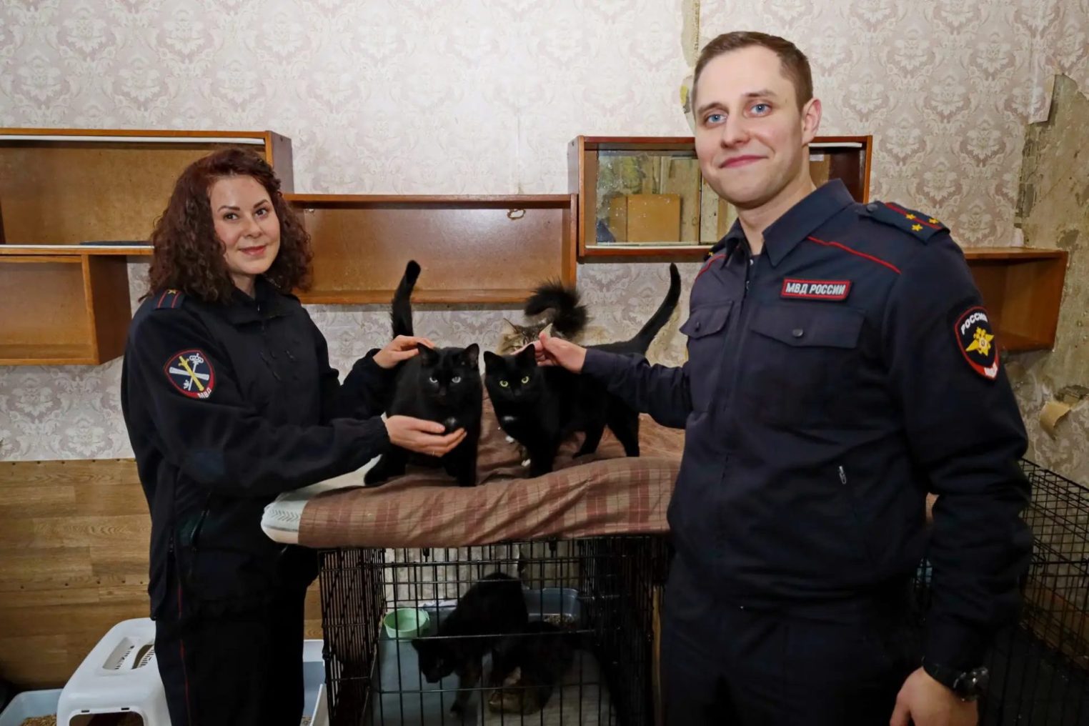 С днем кошек бездомных пушистиков поздравили костромские полицейские