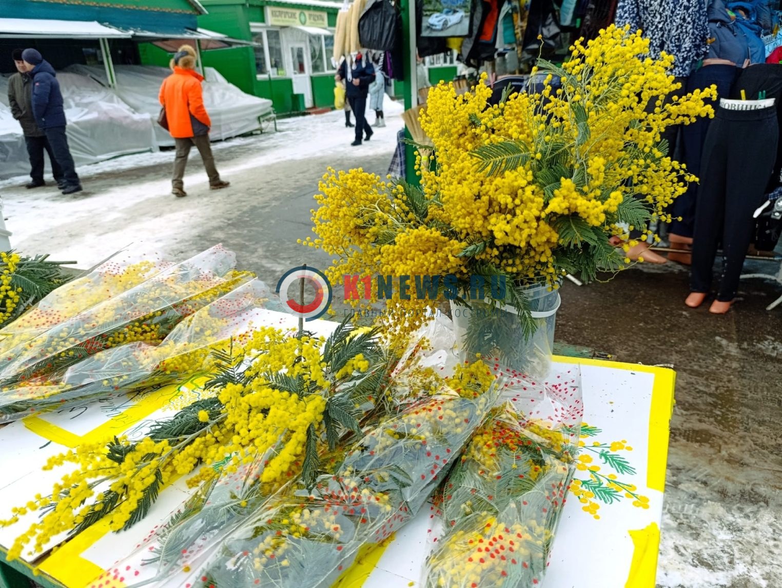 Сколько стоит веточка мимозы в Костроме?