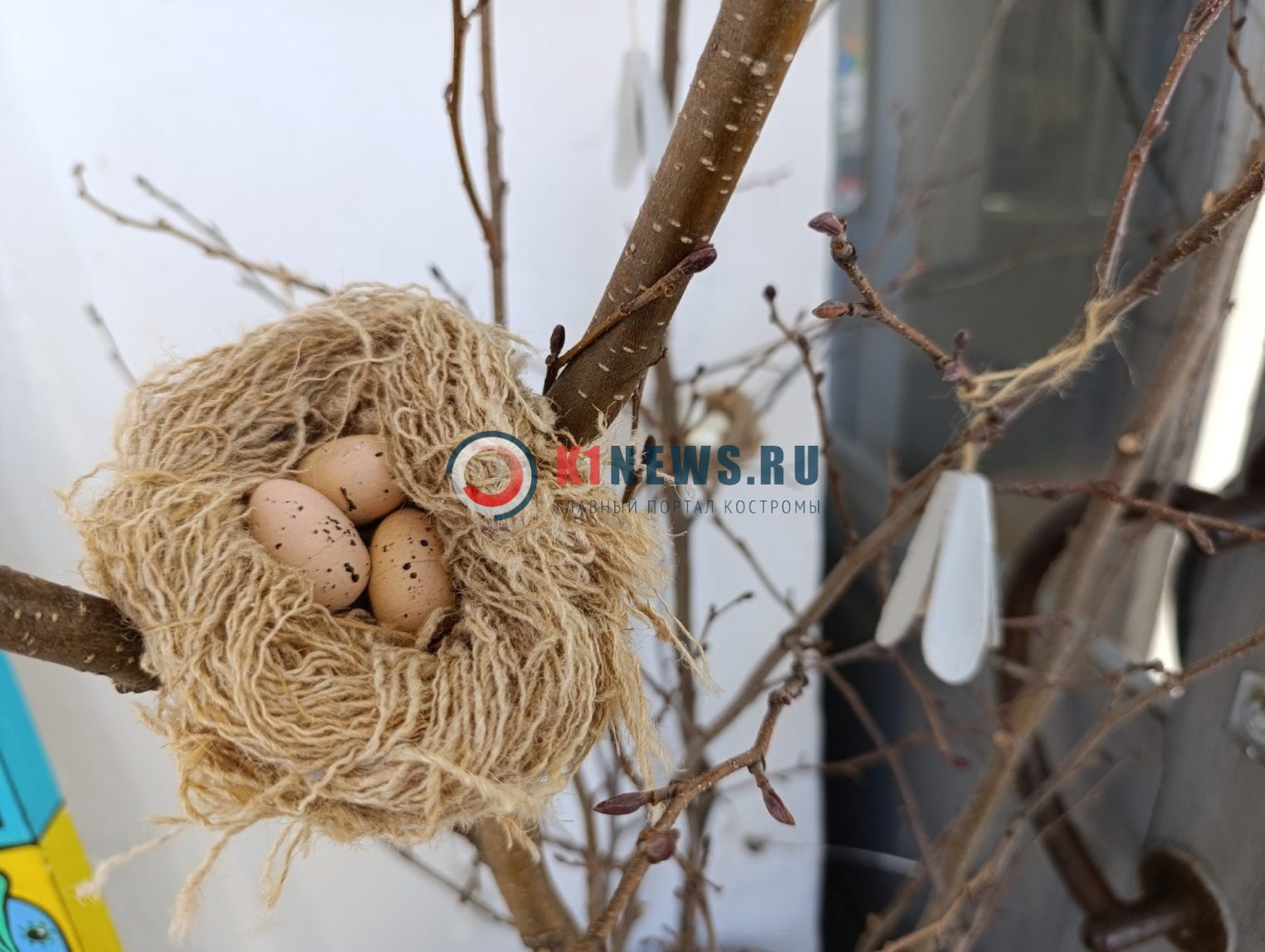 Костромская Маруся встречает весну с венком на рогах