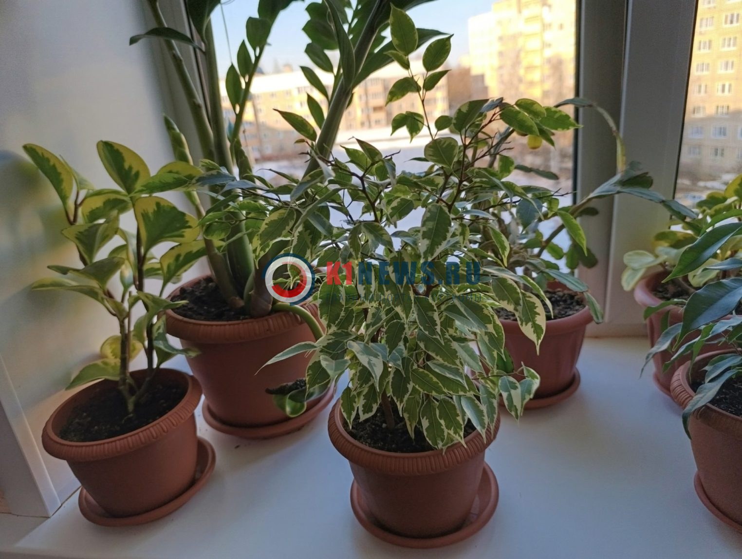 Костромичи встречают весну: традиции и приметы равноденствия