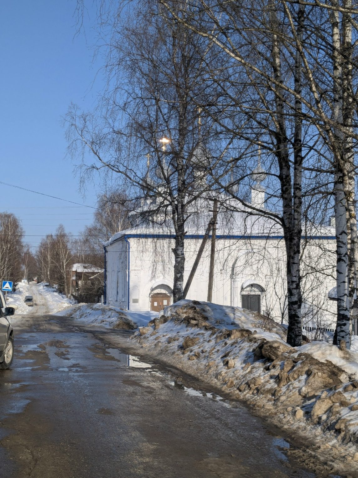 Грачи прилетели: они уже на родине знаменитой картины в Сусанино