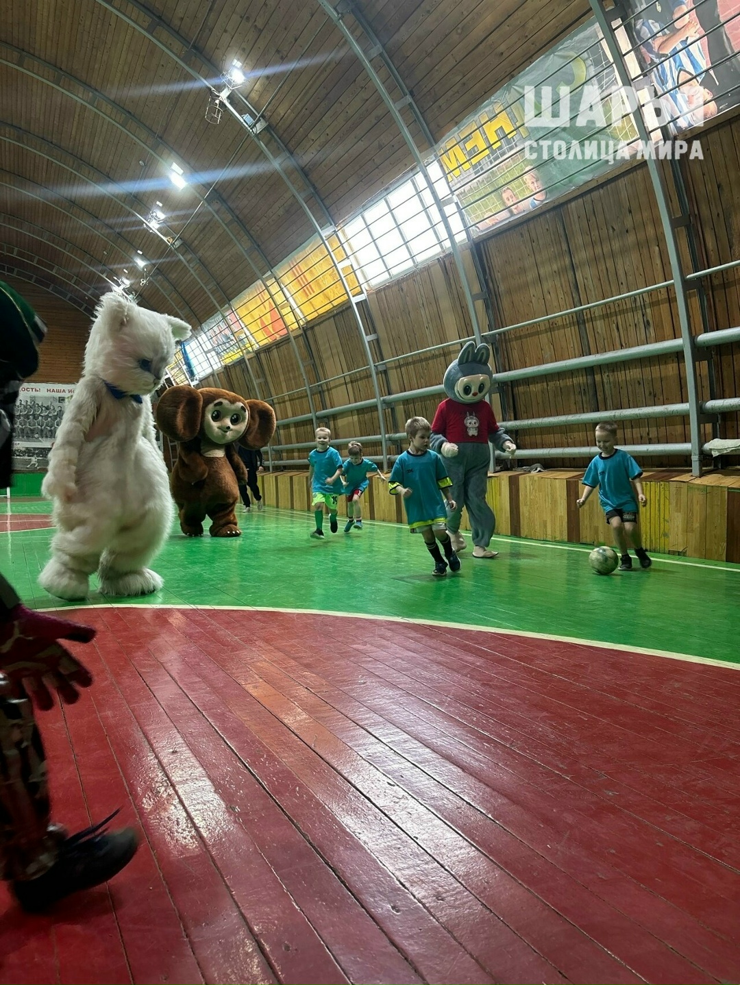 В Шарье дошкольники сыграли в футбол с Чебурашкой, сердитым котом и зайцами