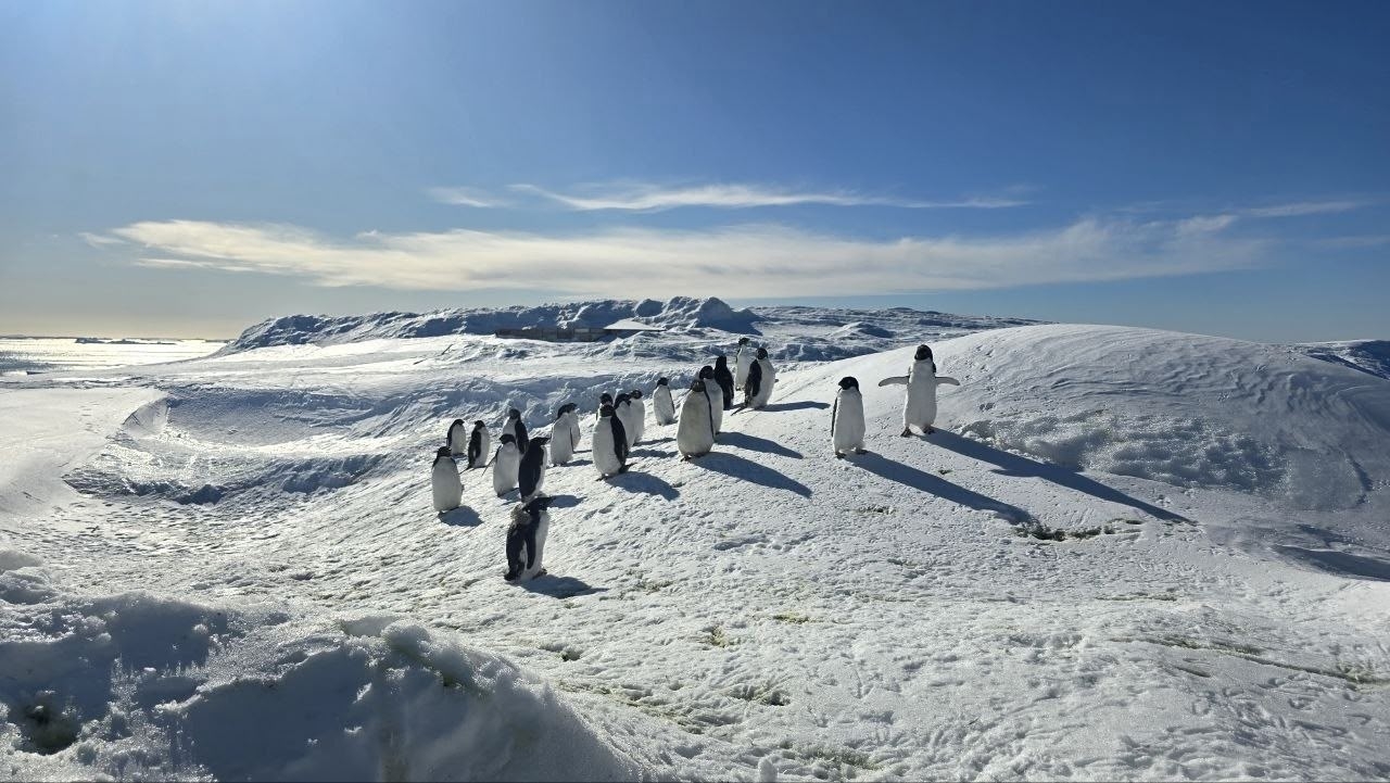 Выпускник КГУ Георгий Сорокин следит за магнитным полем Земли в Антарктиде