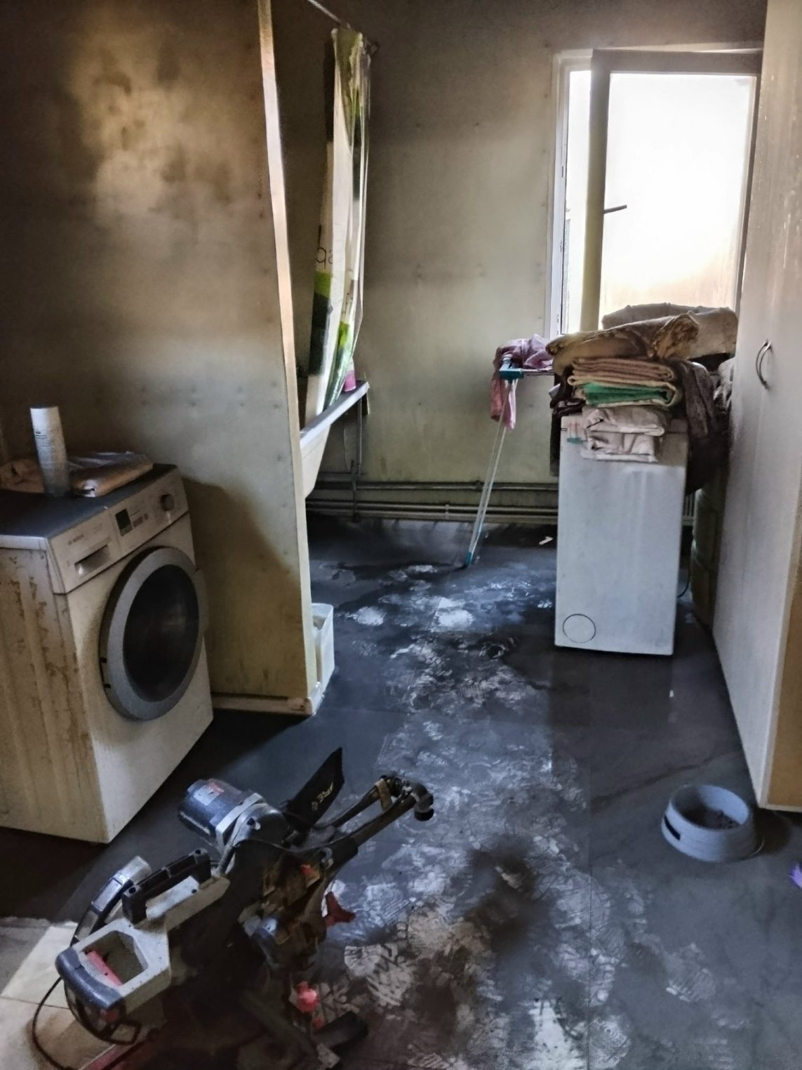 При пожаре в костромском приюте погиб Самурай