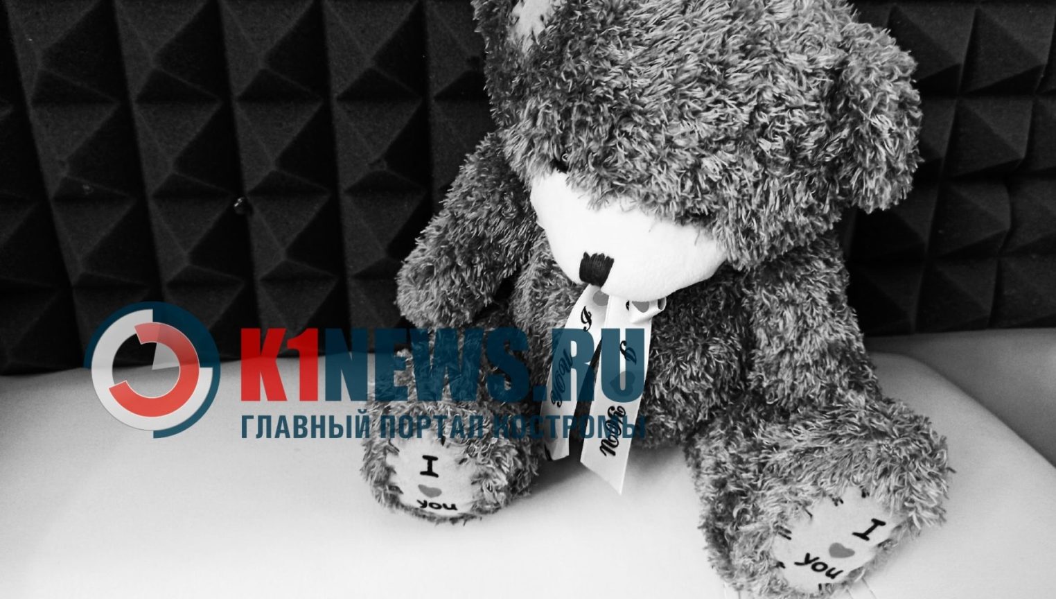 В Костроме за смерть беспомощной девочки в комнате с шестью собаками осудили двух человек