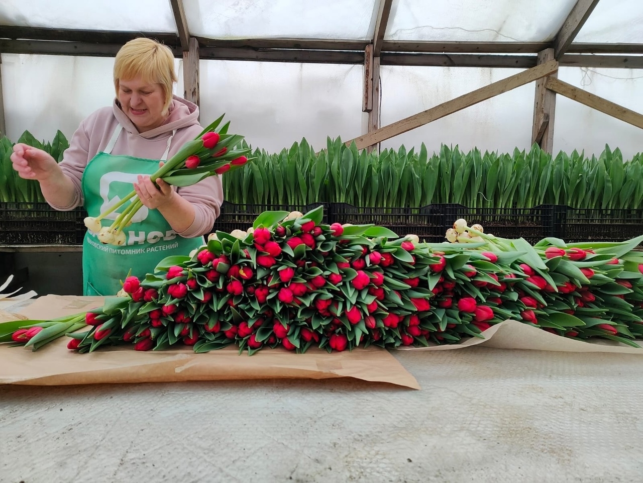 Большая Костромская ярмарка тюльпанов: почему за цветами снова едут к ТЦ «На Сенной»