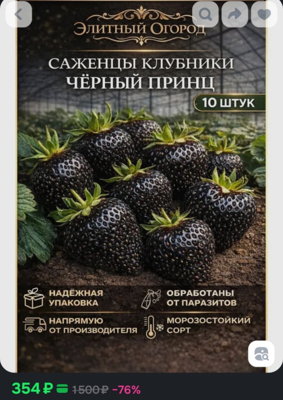 Чудовищное НЕЧТО вырастет в огородах костромских пенсионеров этим летом