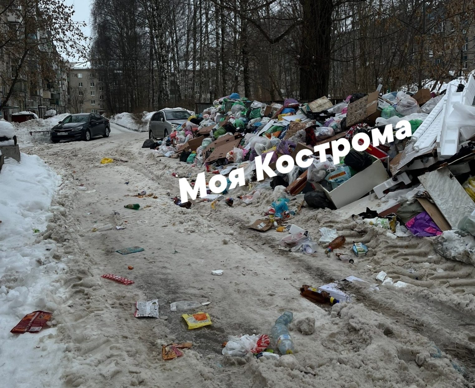 Новый горный хребет нравится голубям, но не жителям Костромы