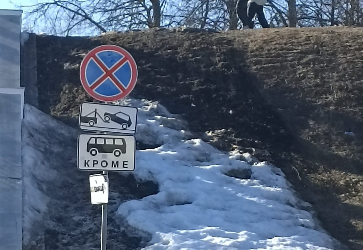 Костромичи требуют убрать наглую телегу из центра города