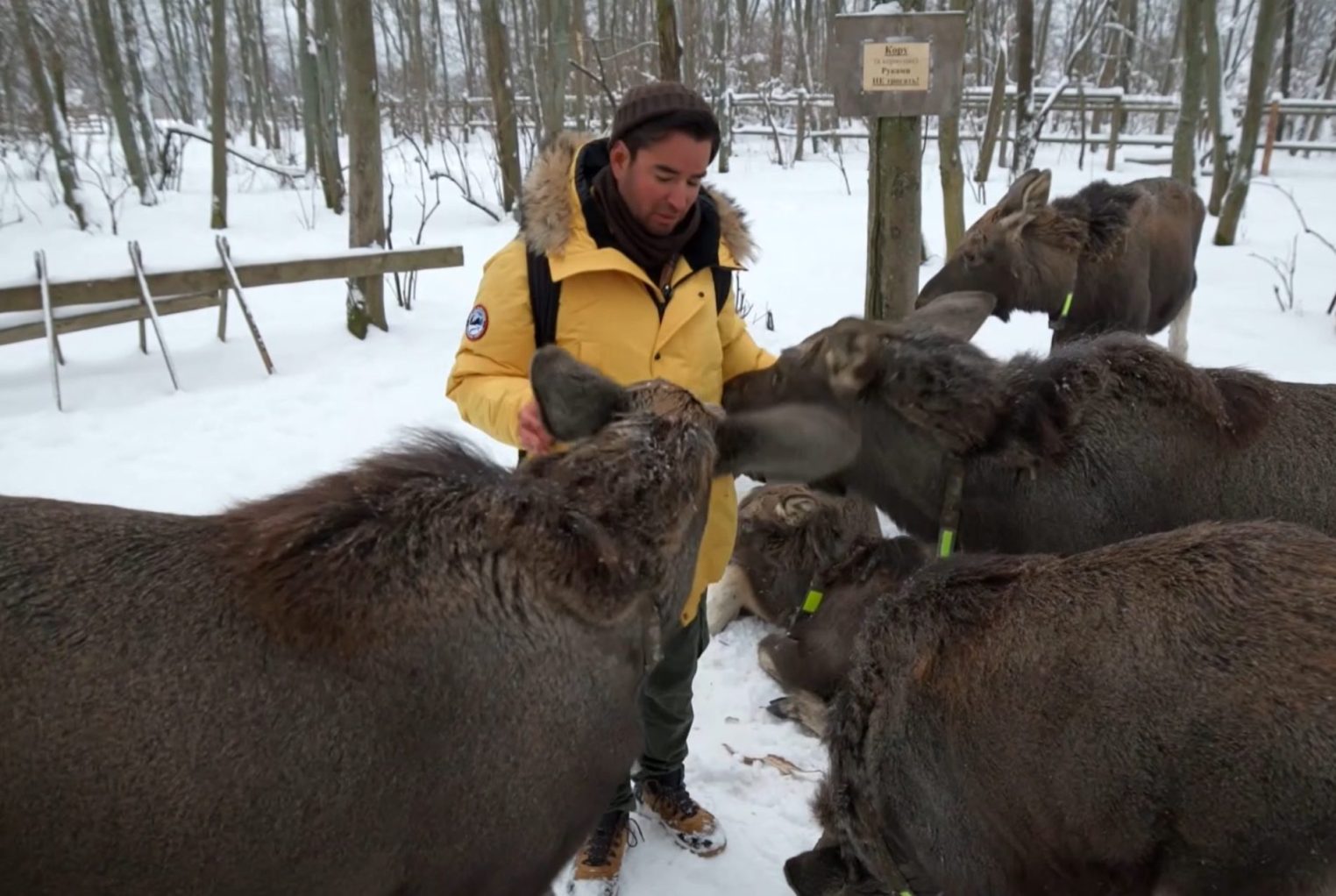 Мексиканец показал россиянам неизвестную Кострому