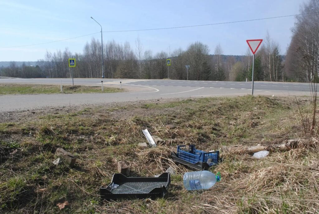 Выставка «Многообразие зимнего мусора» открылась в Костромской области