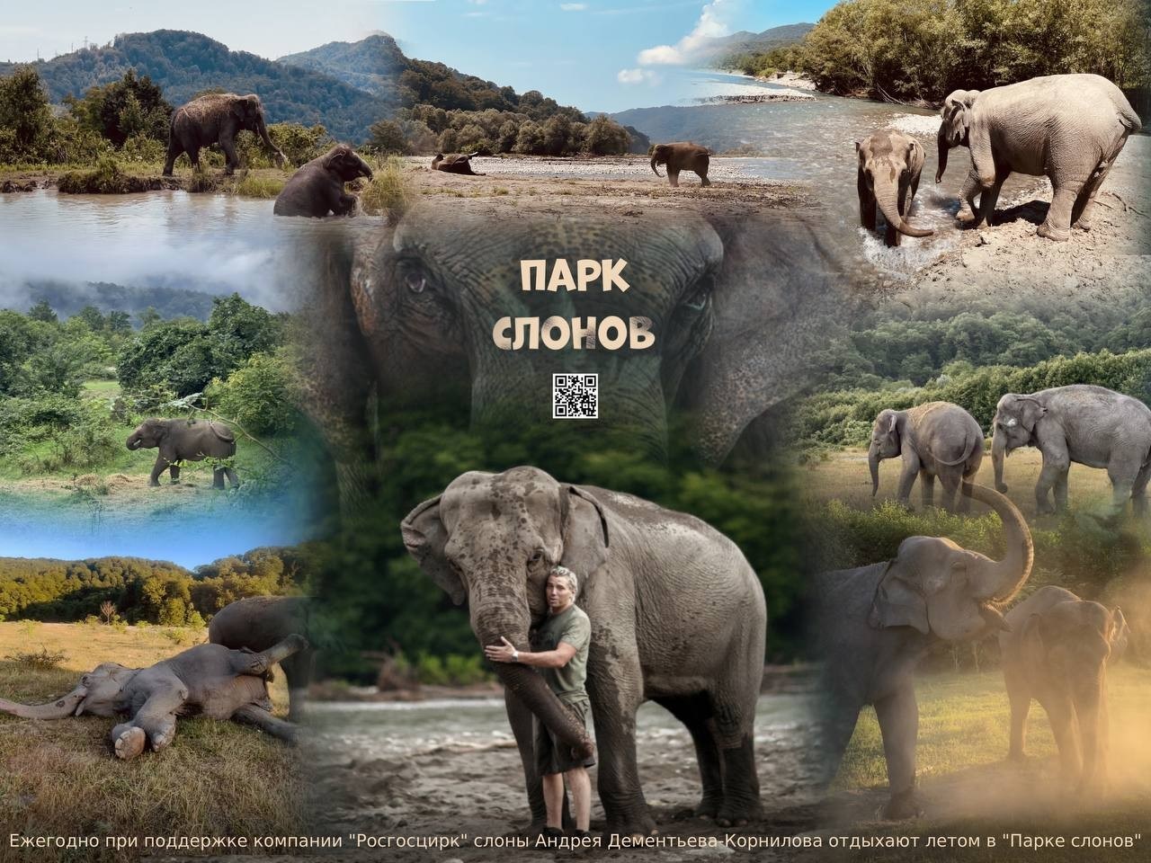 Главное шоу весны: «Девочка и слон» в цирке Костромы