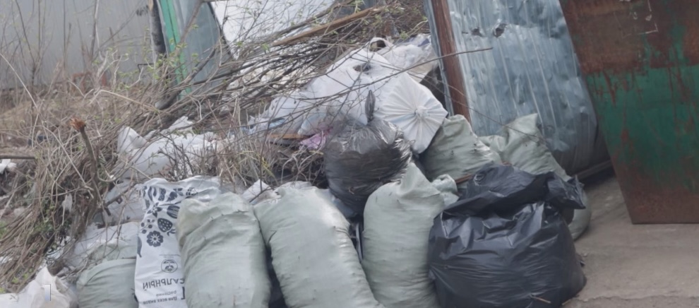 Власти в Костроме нашли мусор и виноватых