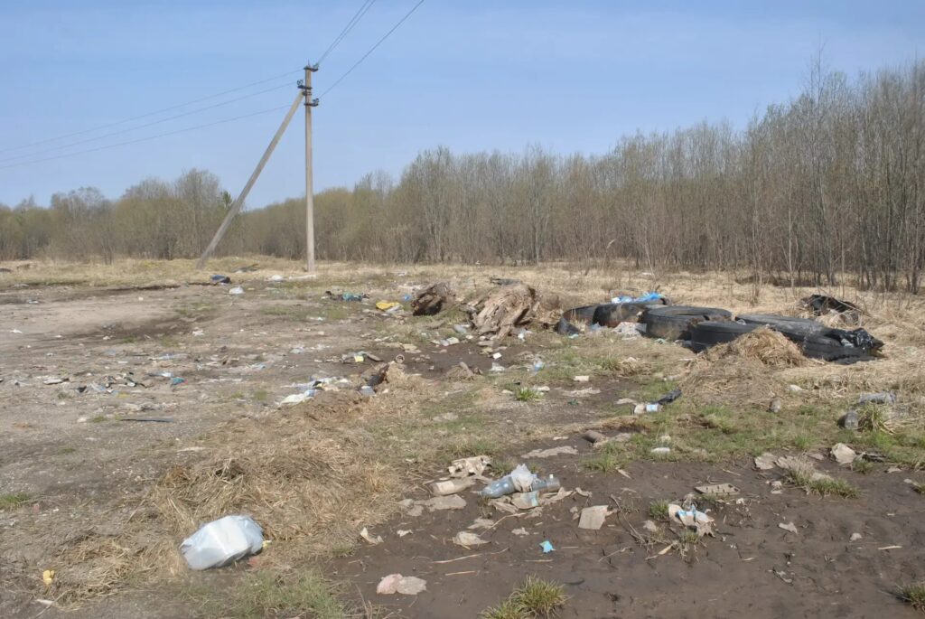 Выставка «Многообразие зимнего мусора» открылась в Костромской области